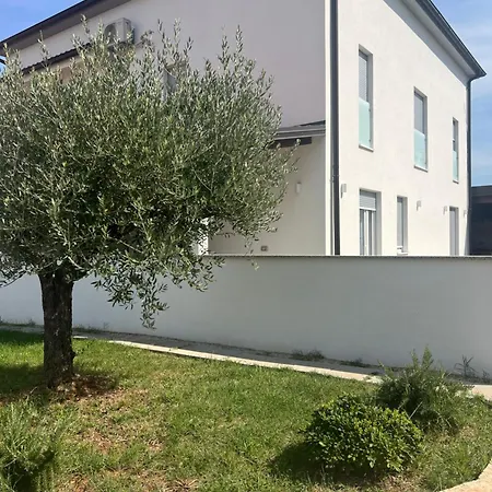 Maslina Apartamento Poreč